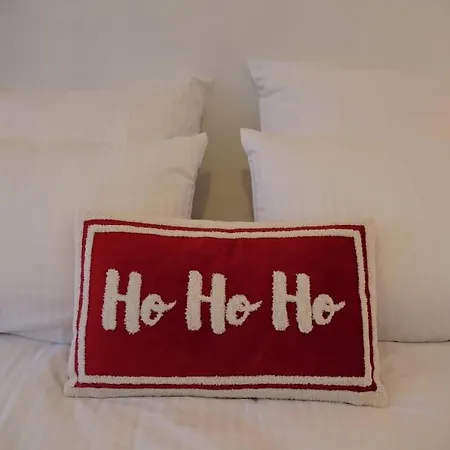 Schuss En Duplex 8 Pers Avec Garage Sélestat