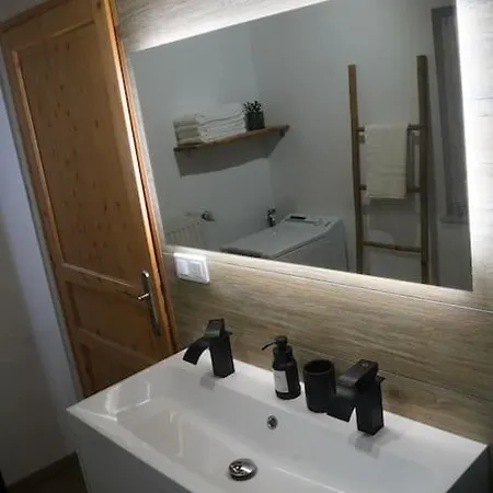 Schuss En Duplex 8 Pers Avec Garage Sélestat