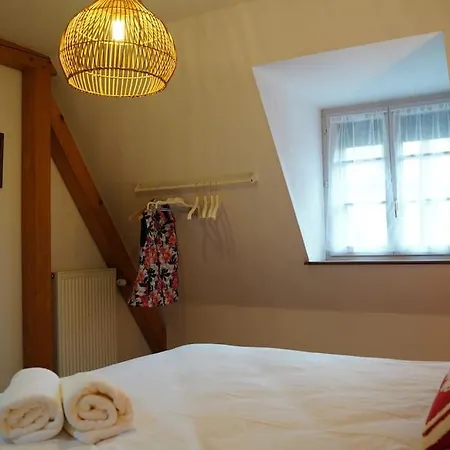 Schuss En Duplex 8 Pers Avec Garage