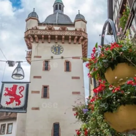 Schuss En Duplex 8 Pers Avec Garage Apartmán Sélestat