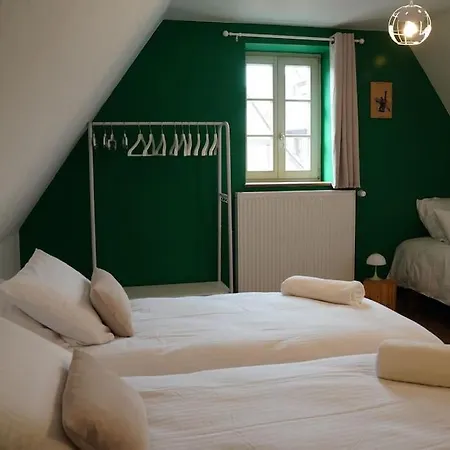 Schuss En Duplex 8 Pers Avec Garage Sélestat