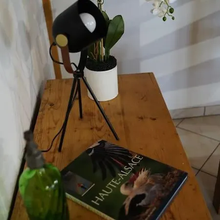 Schuss En Duplex 8 Pers Avec Garage * Sélestat