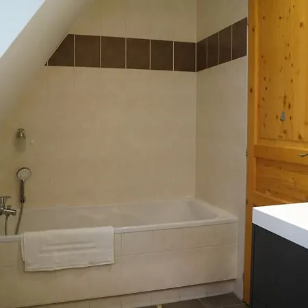 Schuss En Duplex 8 Pers Avec Garage Sélestat