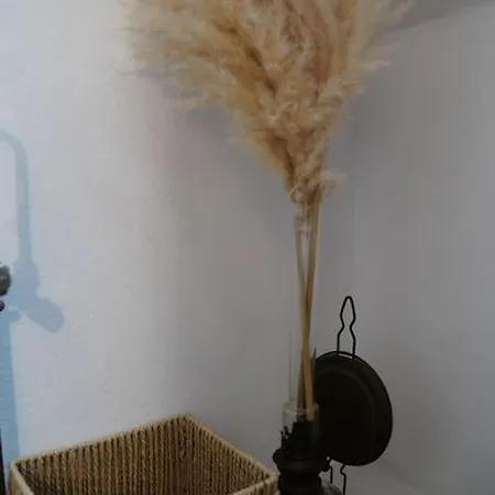 Schuss En Duplex 8 Pers Avec Garage * Sélestat