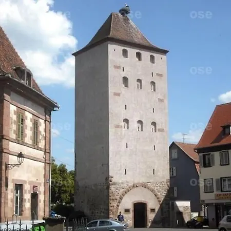 Schuss En Duplex 8 Pers Avec Garage Apartmán Sélestat