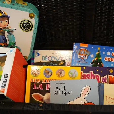 Schuss En Duplex 8 Pers Avec Garage Sélestat