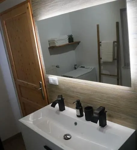 Schuss En Duplex 8 Pers Avec Garage Sélestat