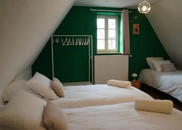 Schuss En Duplex 8 Pers Avec Garage Sélestat