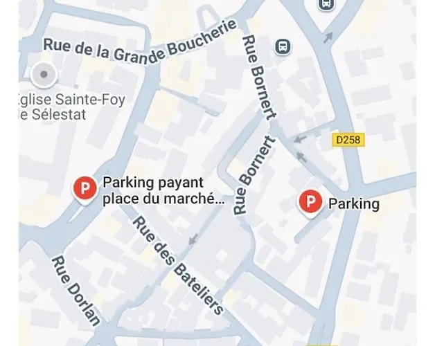 Schuss En Duplex 8 Pers Avec Garage Apartmán Sélestat
