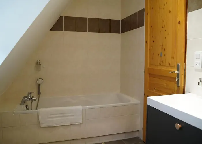 Schuss En Duplex 8 Pers Avec Garage Sélestat