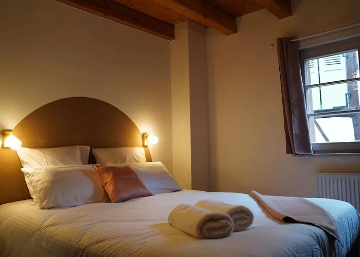 Schuss En Duplex 8 Pers Avec Garage Sélestat